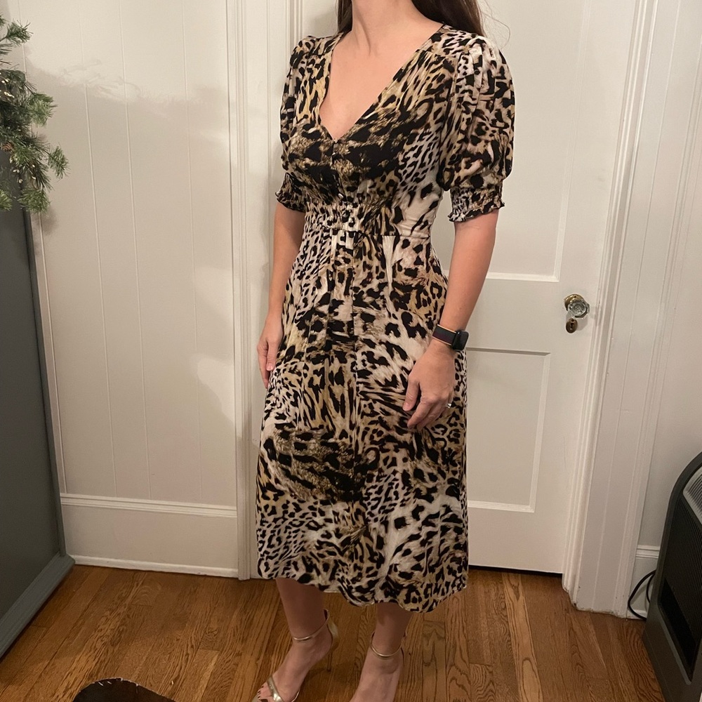 Banana Republic SZ 4 leopard print dress